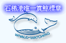 本港唯一賞鯨標章